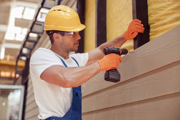 Best Steel Siding Installation  in San Ysidro, NM